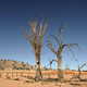 Illustration for article titled Learning From Australias Drought Lessons to Avoid a iMad Max/i Future